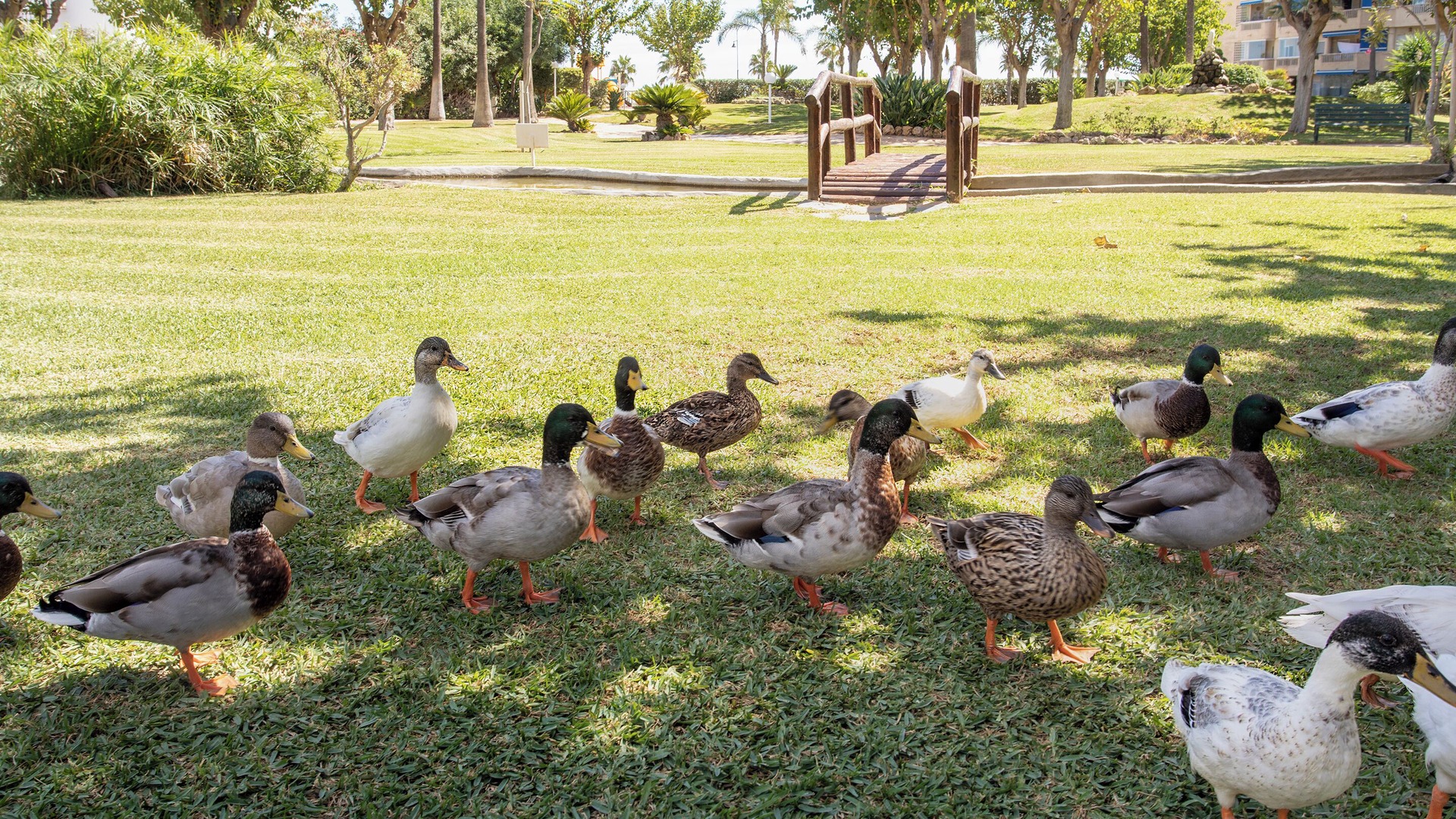 Photo of Outdoor in Torremolinos