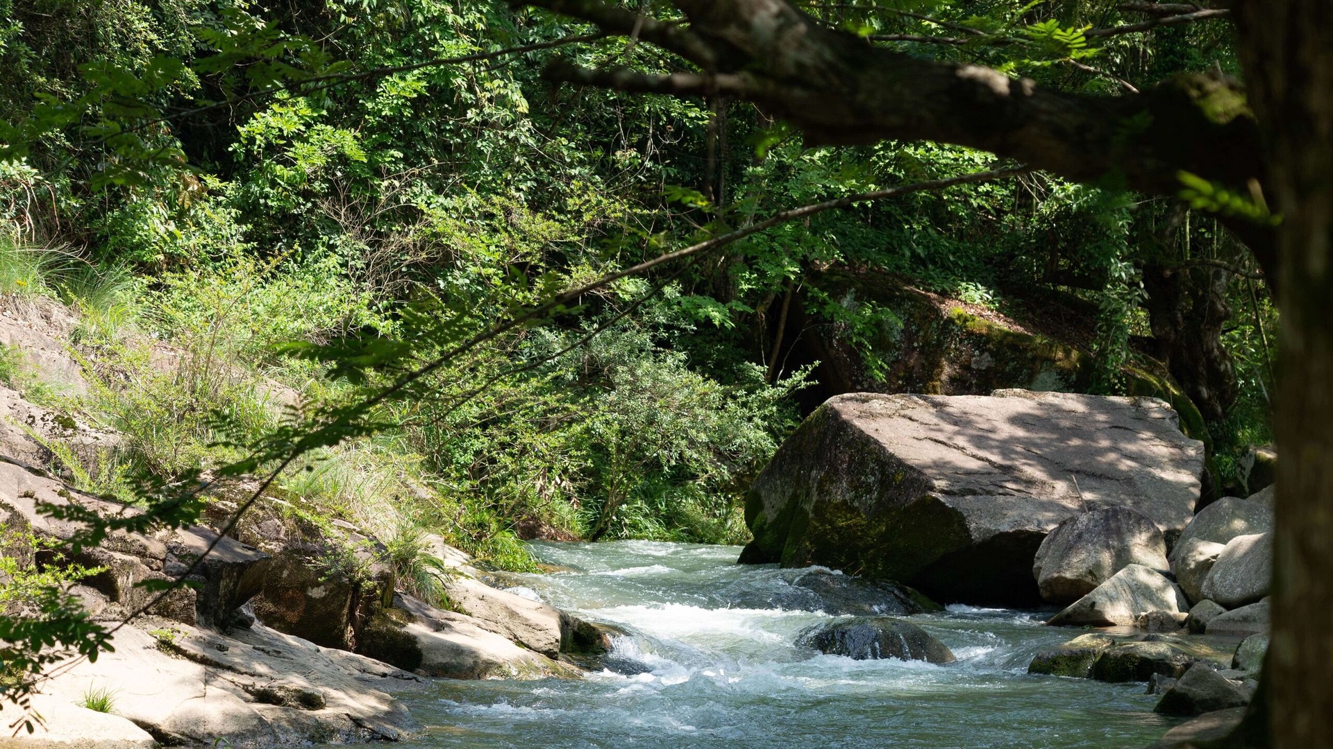 Photo of Outdoor in Lin'an