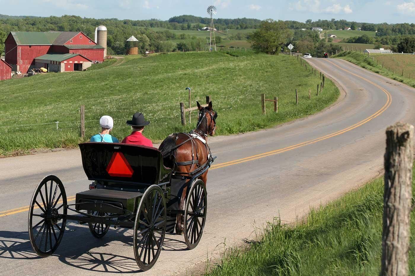 Photo of Others in Newcomerstown