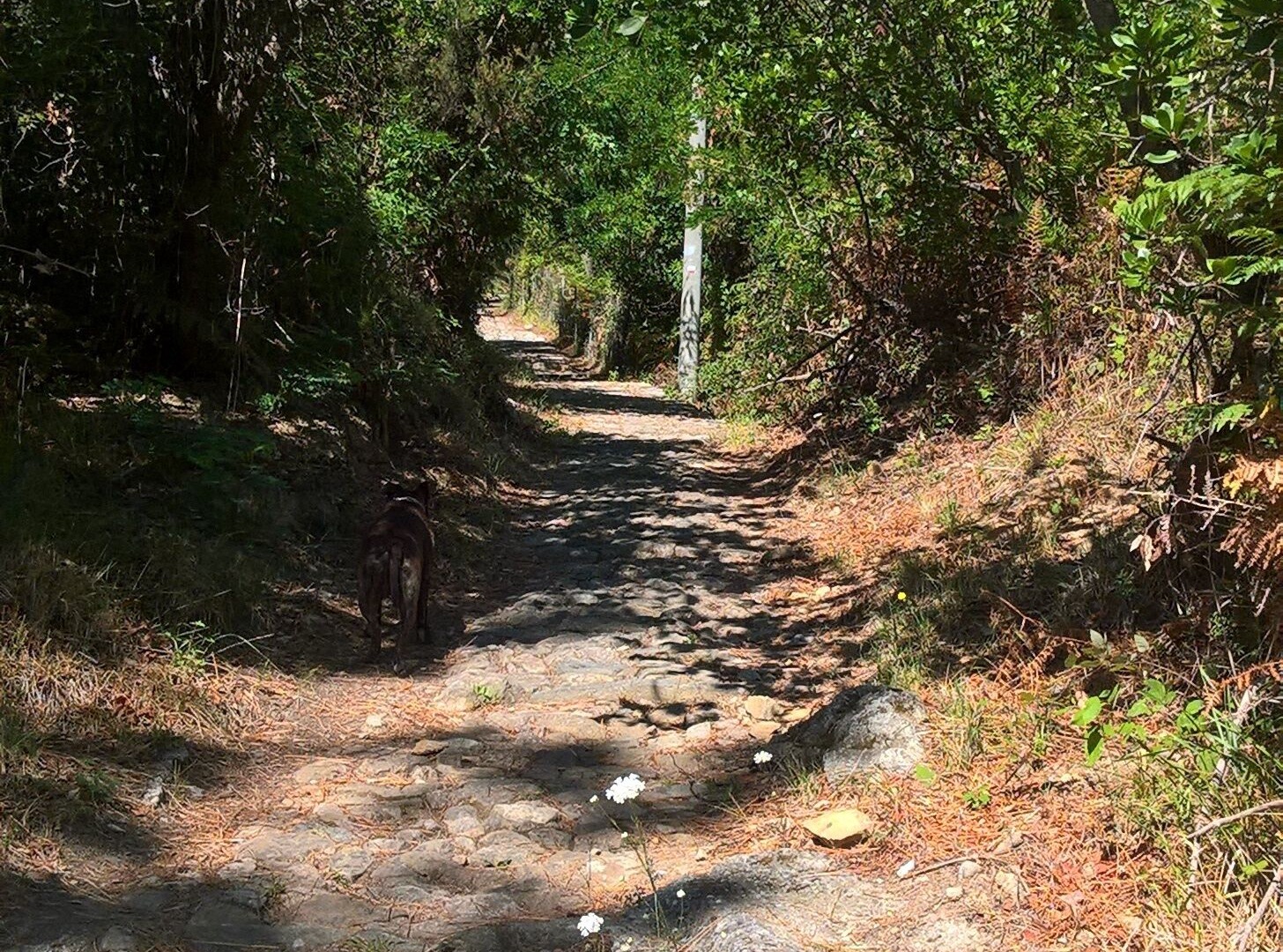 Photo of Outdoor in Bocca di Magra