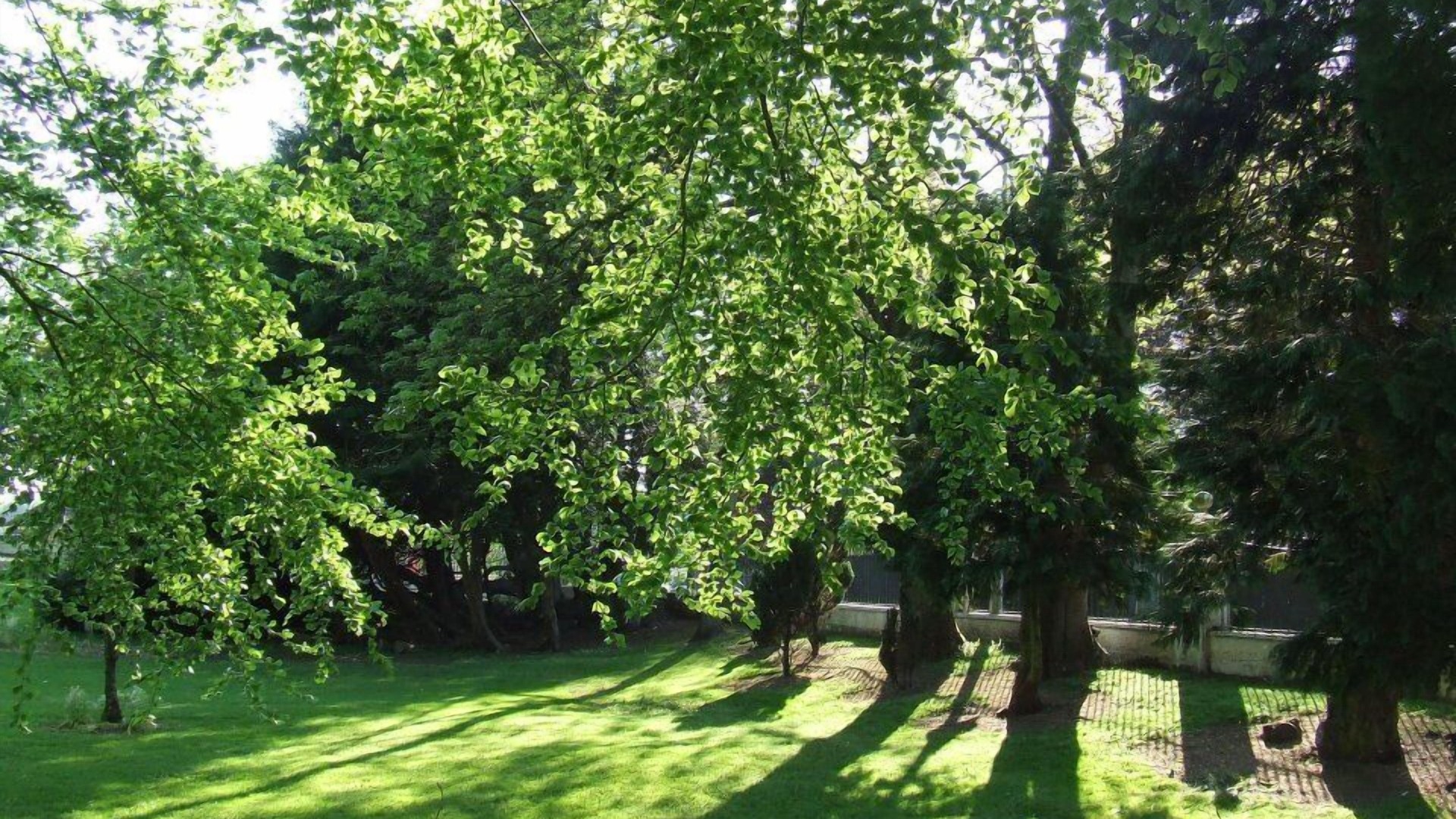 Photo of Outdoor in Castlederg