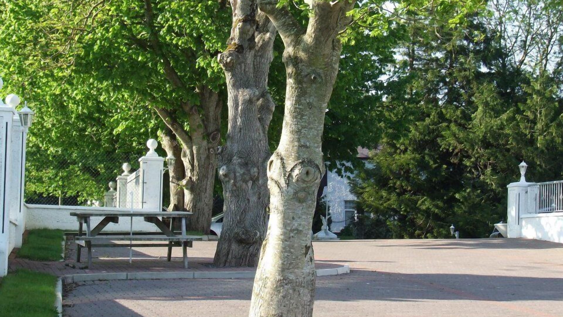 Photo of Outdoor in Castlederg