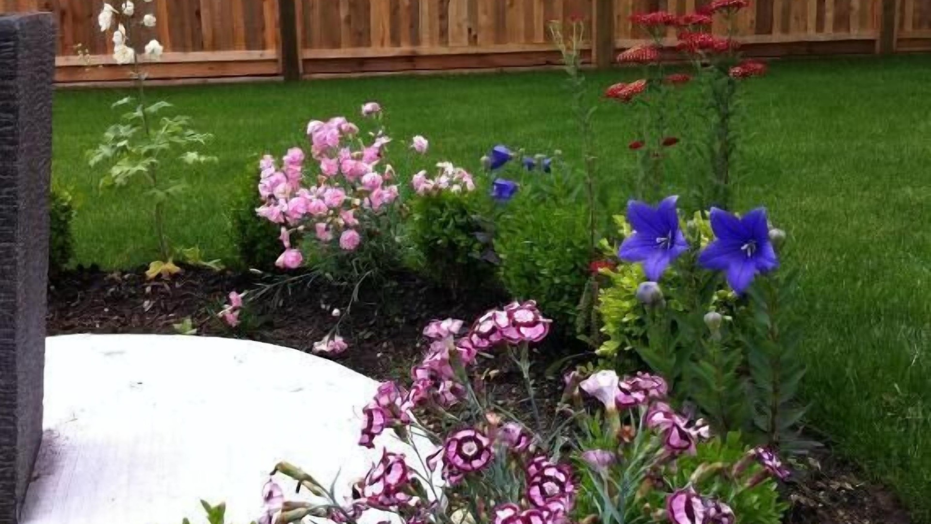 Photo of Outdoor in Burnaby