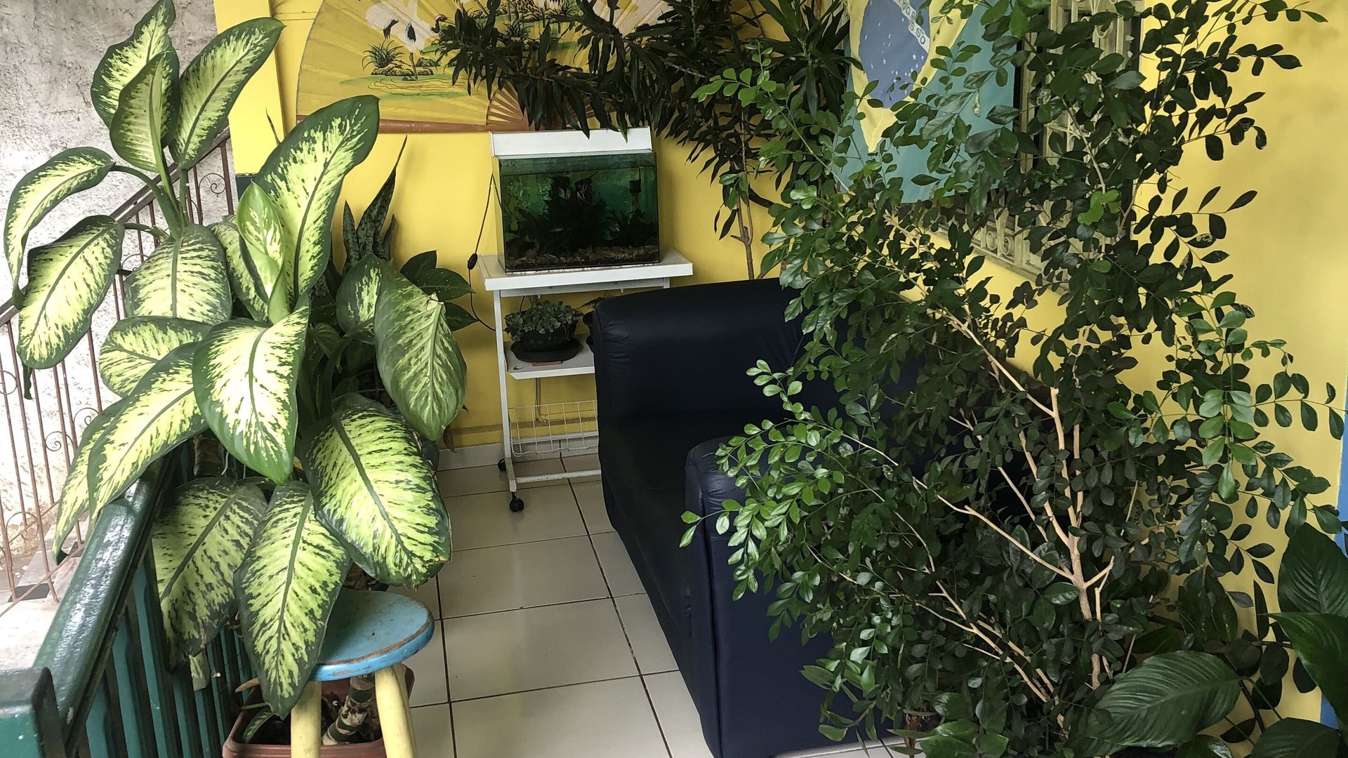 Photo of Outdoor in Pontal de Camburi