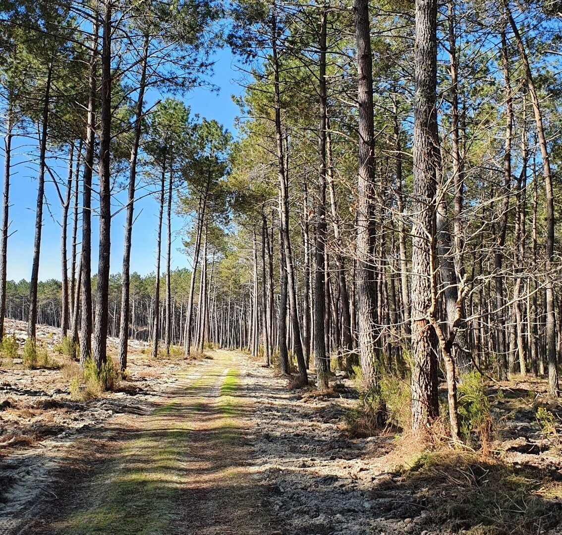 Photo of Outdoor in Bias