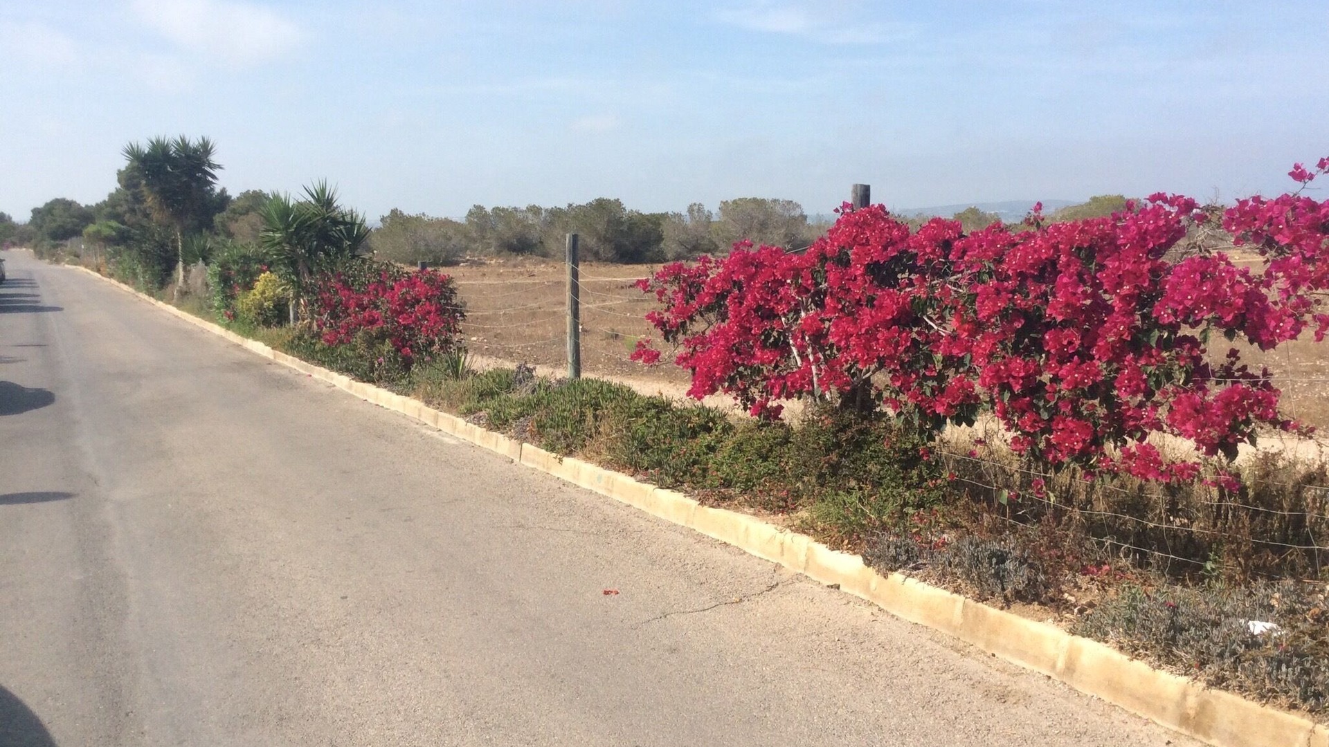Photo of Outdoor in La Siesta