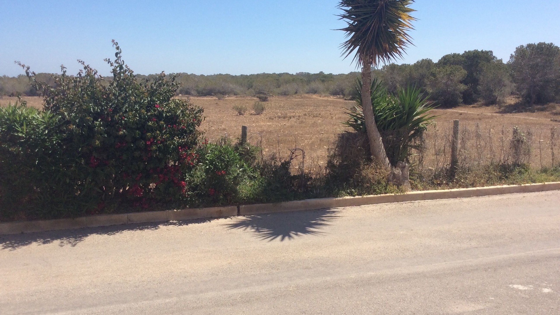 Photo of Others in La Siesta