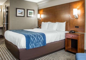 Comfort Inn- Hammond