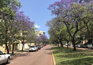 Riverview on Mount Street
