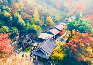 HarukaHaruka Studio