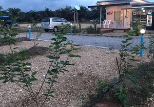 Mulberry Resort