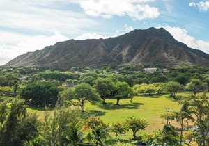 Lotus Honolulu at Diamond Head