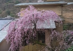 Takimotokan Yuki No Sato