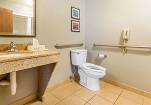 Comfort Suites Fairview Heights