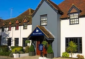 The White Swan