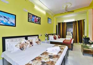 Wow Backpackers Hostel