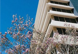 Abode Woden