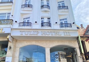 Tulip Hotel 3