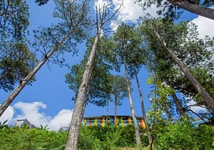 IColor Dalat Hostel