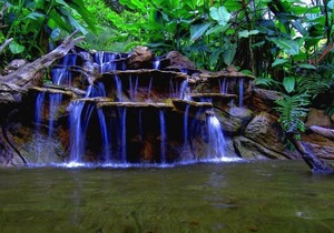 Hotel Mango Valley