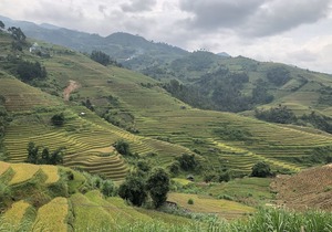 Do Gu Homestay