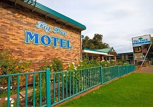 Fig Tree Motel