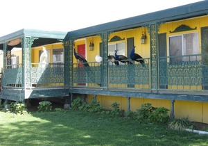 Shady Lady Bed and Breakfast