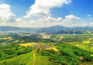 Pungcha & Herb Pension