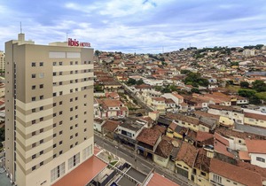 Ibis Jacarei