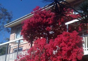 Linley House