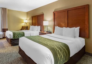 Comfort Inn Apex - Holly Springs
