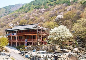 Ulsan Baenaegol Alps 119 House Pension
