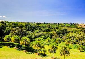 Hotel Mango Valley