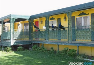 Shady Lady Bed and Breakfast