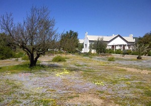 Naries Namakwa Retreat