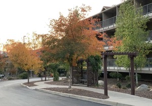 Yosemite View Lodge