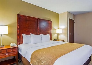 Comfort Suites Sumter