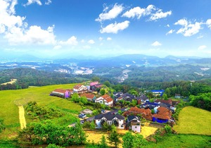 Pungcha & Herb Pension
