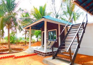 Coconut Tree Resort
