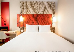 Ibis Bacabal