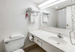 Econo Lodge Truman Inn