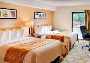 Comfort Inn Dryden
