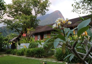 The Village House