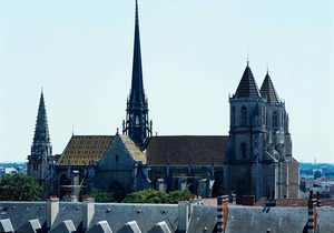 Ibis Nuits Saint Georges