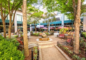 Hotel Providence