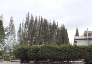 Villa Berastagi Highland