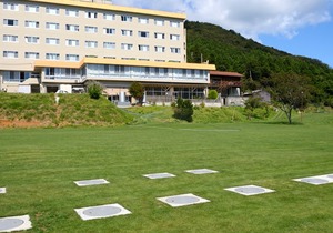 Hotel New Sakai