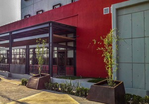 Ibis Irapuato