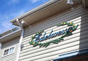 Pyeongchang Edelweiss Pension