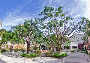 Rincon Beach Resort